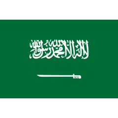 サウジアラビアのサイドバック icon
