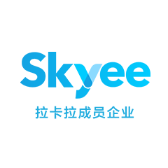 Skyee跨境收付 icon